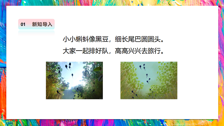 【湘美版】美术 二年级上册 第四单元 第2课《小蝌蚪》课件（26页）第5页