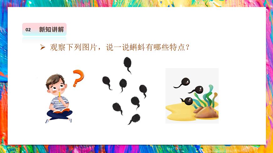 【湘美版】美术 二年级上册 第四单元 第2课《小蝌蚪》课件（26页）第7页