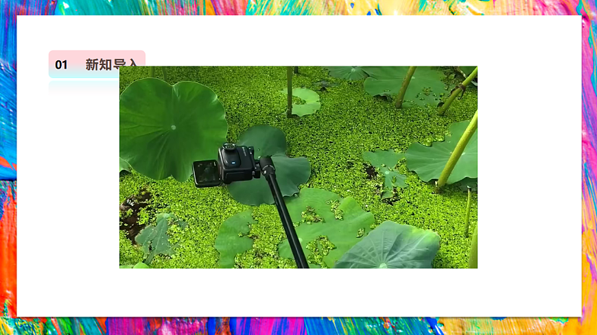 【湘美版】美术 二年级上册 第四单元 第5课《趣味连拍》课件（32页）第4页