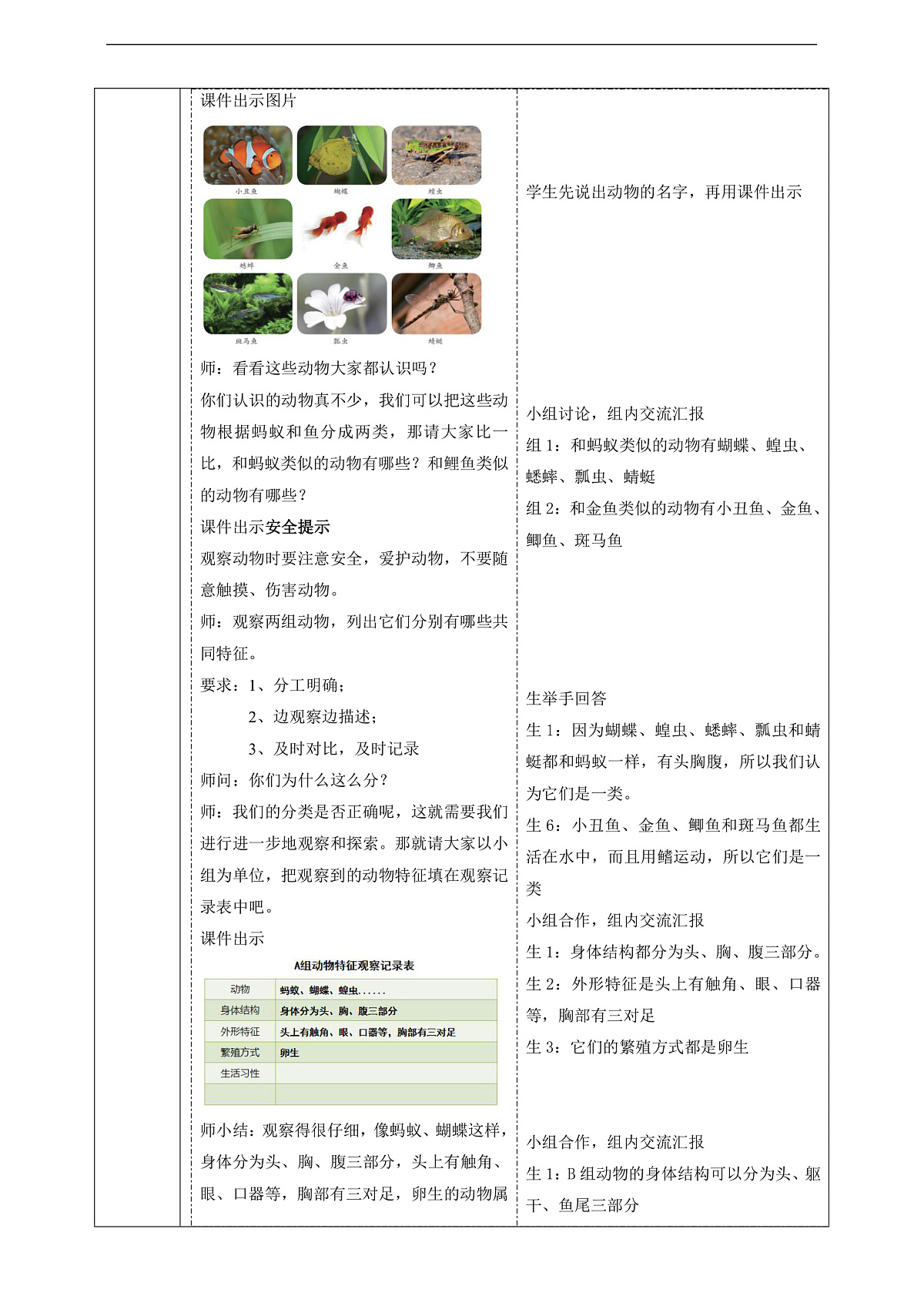 【教学评一体化】3.4《昆虫和鱼类》课时教案第3页