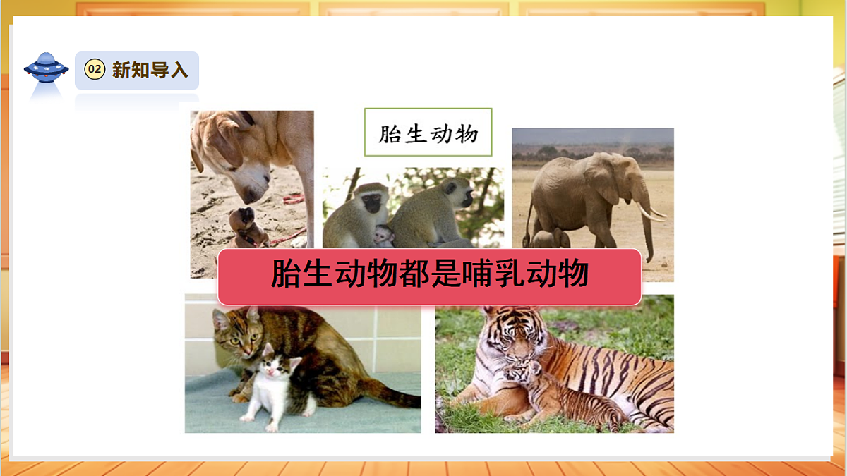 【教学评一体化】3.4《昆虫和鱼类》课时课件第4页