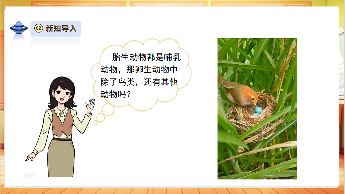 【教学评一体化】3.4《昆虫和鱼类》课时课件第5页