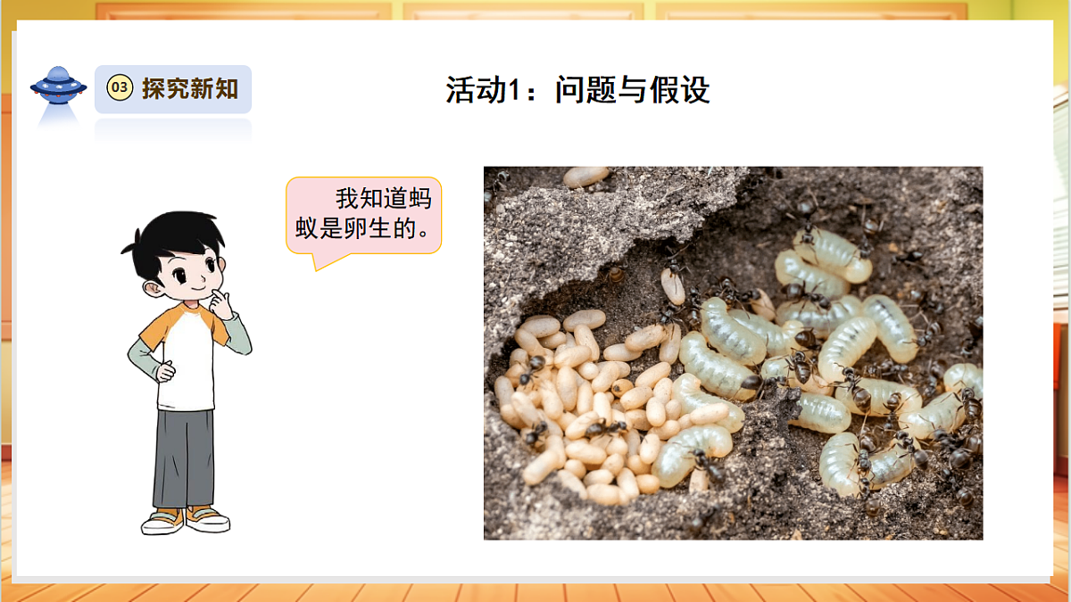 【教学评一体化】3.4《昆虫和鱼类》课时课件第6页