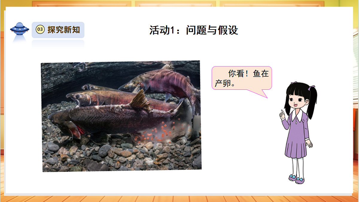 【教学评一体化】3.4《昆虫和鱼类》课时课件第7页