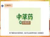 【教学评一体化】大象版科学二年级上册  反思单元《李时珍与本草纲目》课件+教案表格式+单元整体设计+视频素材