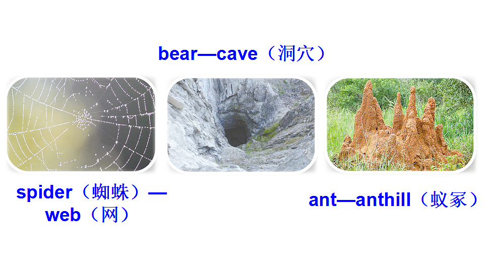 17550397第8页