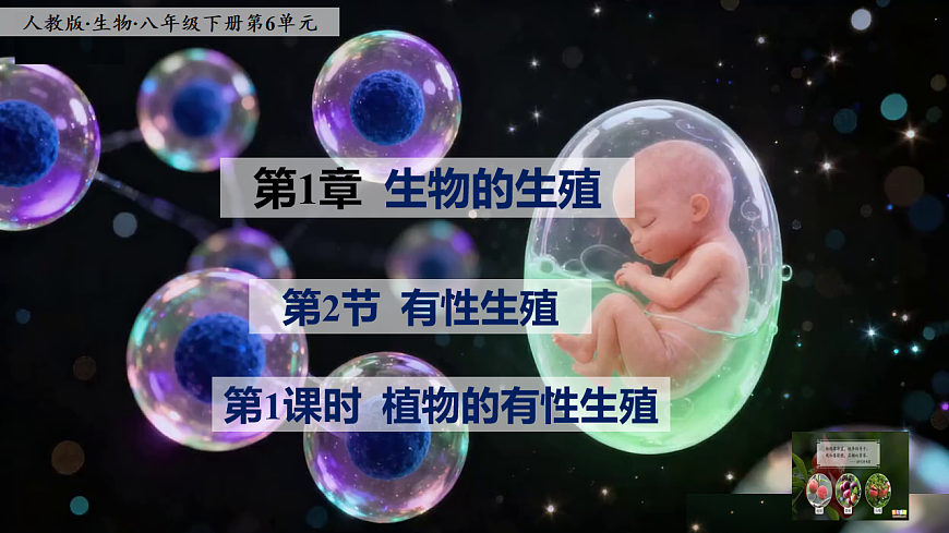 八下生物（人教版2024）6.1.2.1《植物的有性生殖》PPT第1页