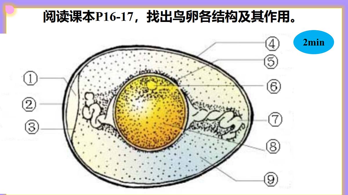 八下生物（人教版2024）6.1.2.3《动物的生殖（2）》PPT第8页