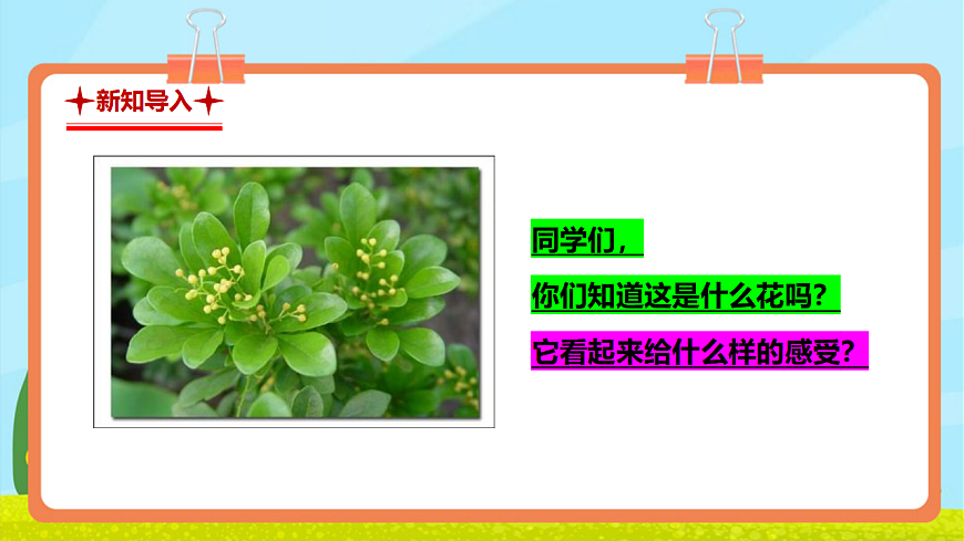 【新教材】人教版音乐三年级上册-《我爱米兰》-课件第4页