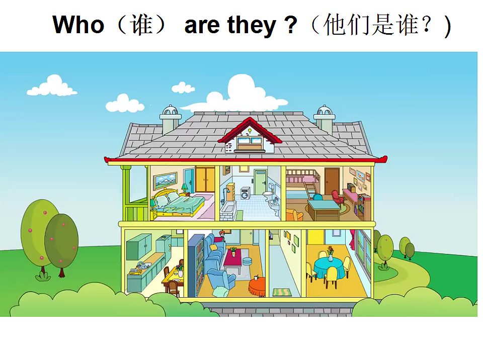 17553453第4页