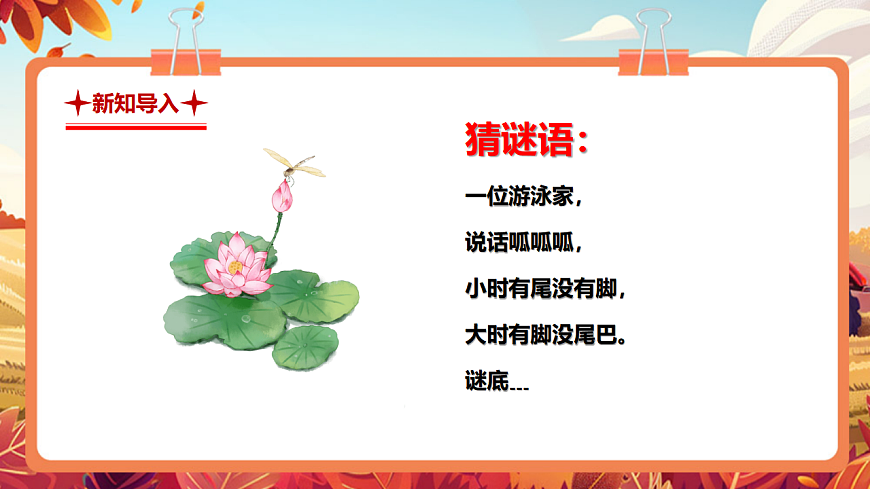 【新教材】人教版音乐二年级上册-《花蛤蟆》-课件第4页