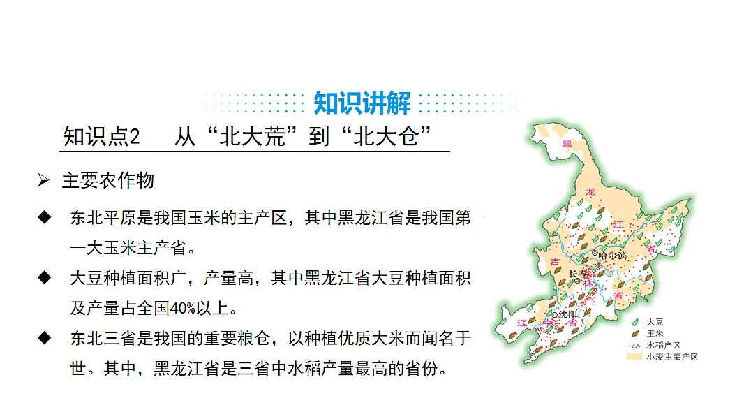 17553577第8页