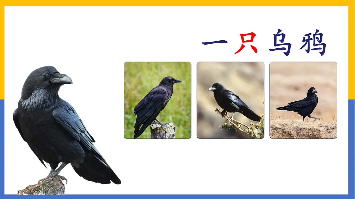 17553718第2页