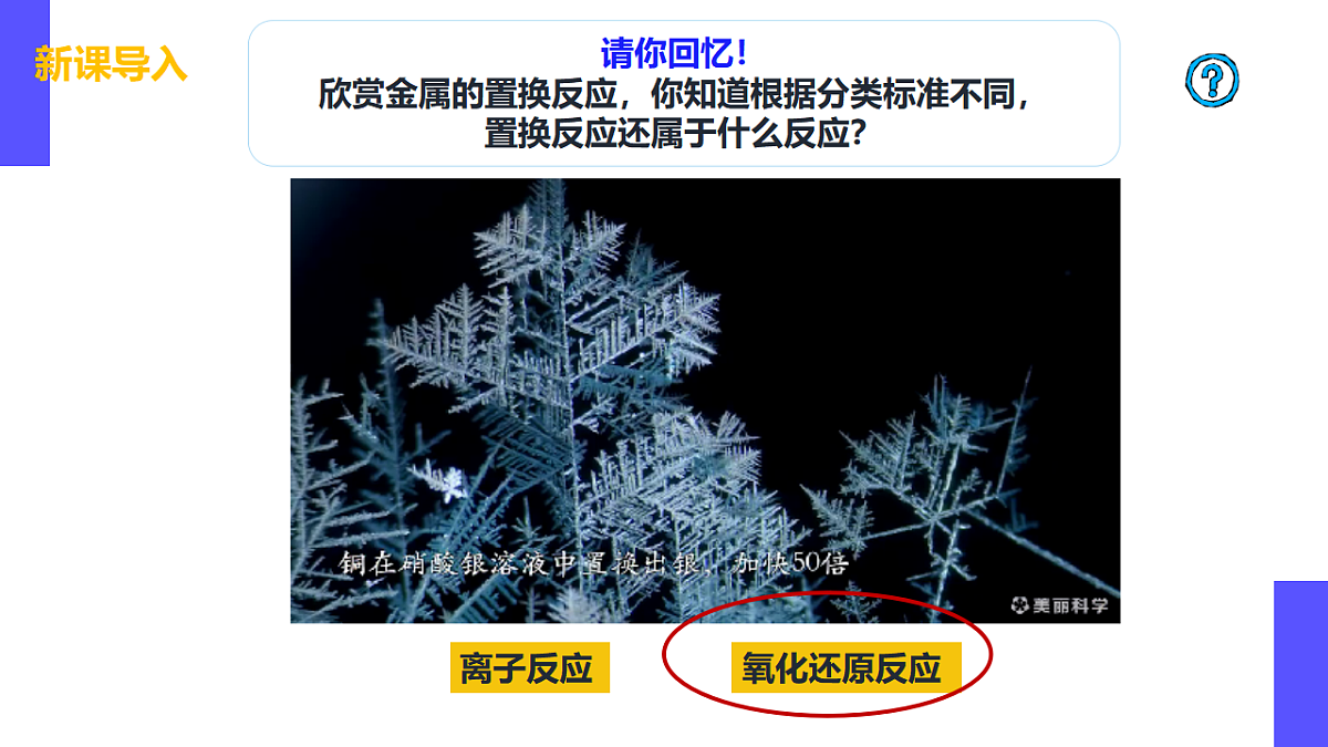 17553818第4页