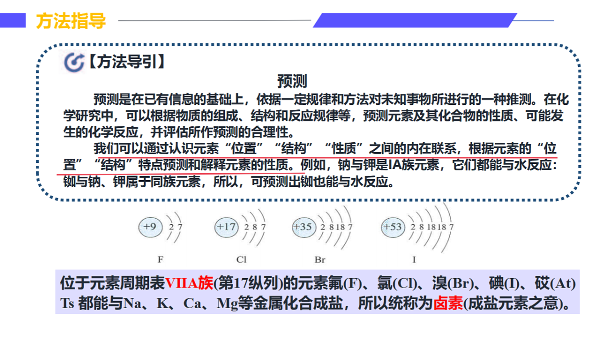 17553976第7页