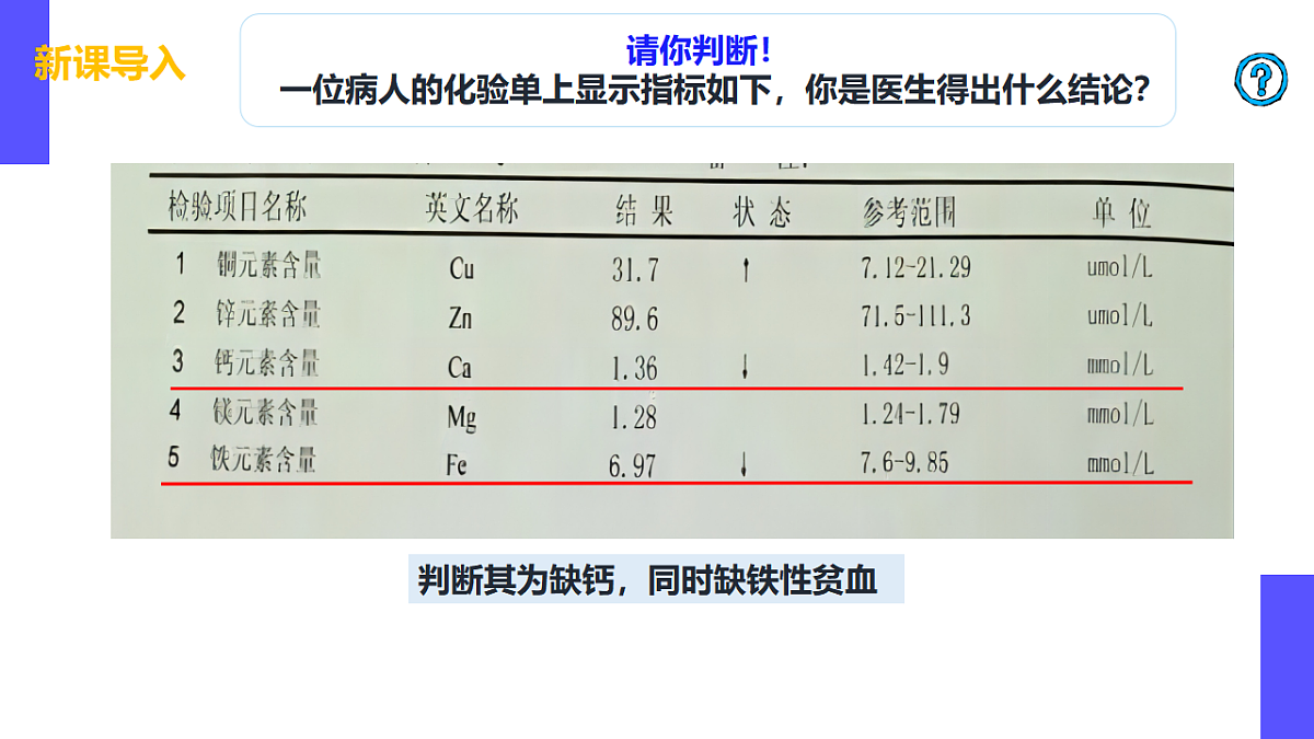 17553982第4页