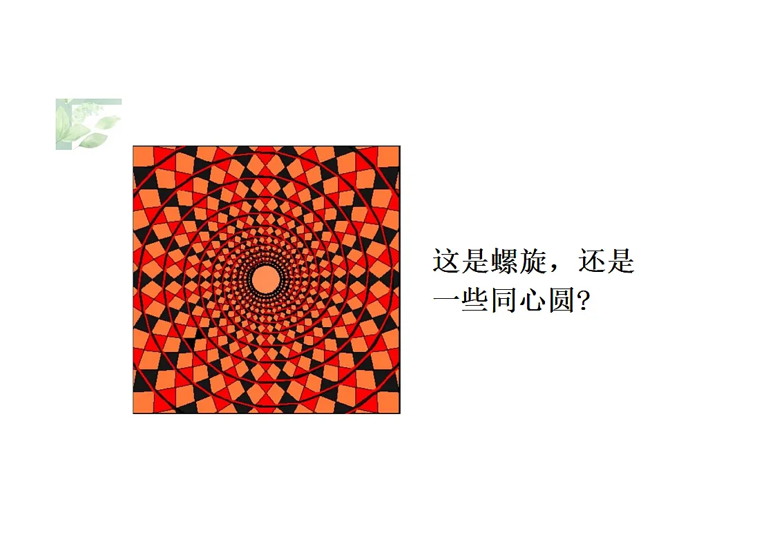17554664第3页