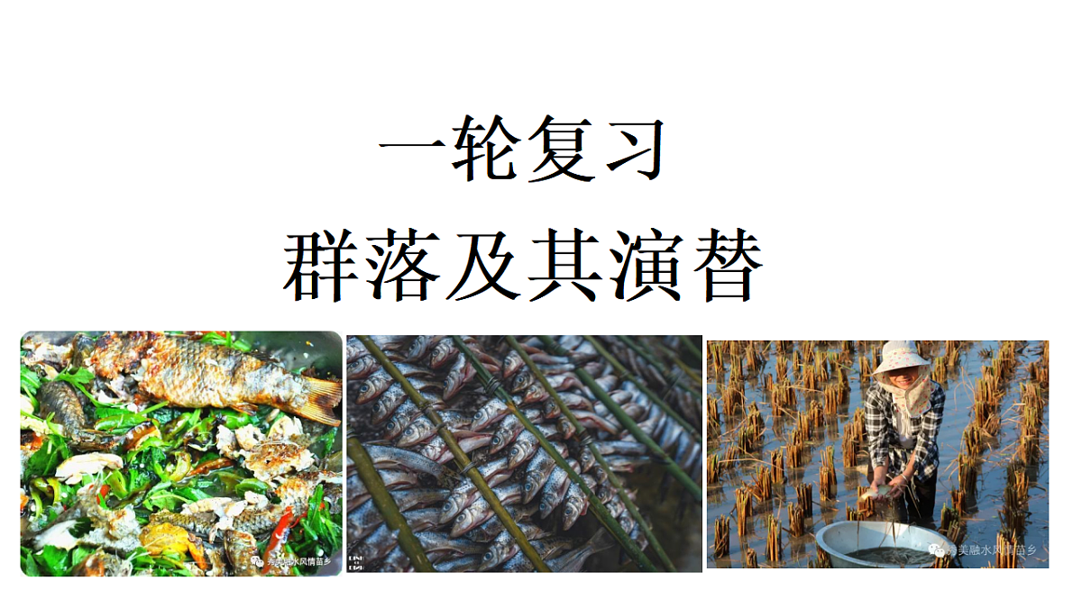 17554927第1页
