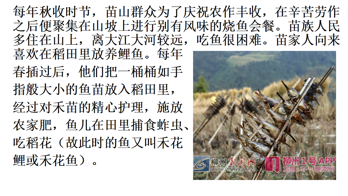 17554927第2页