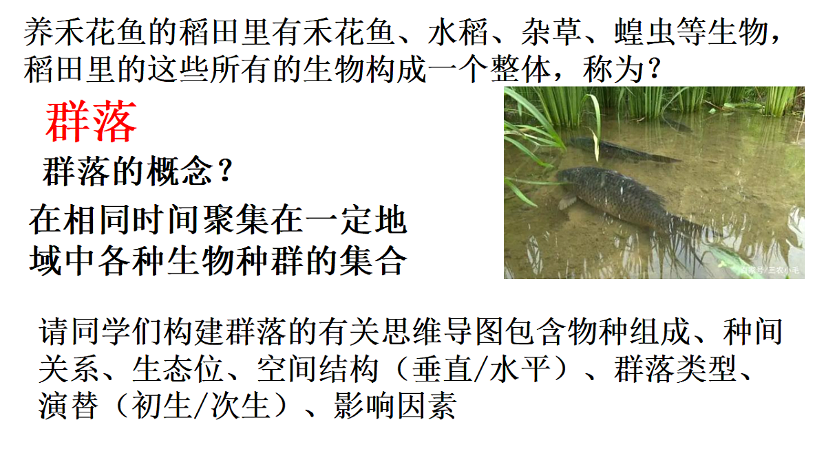 17554927第3页