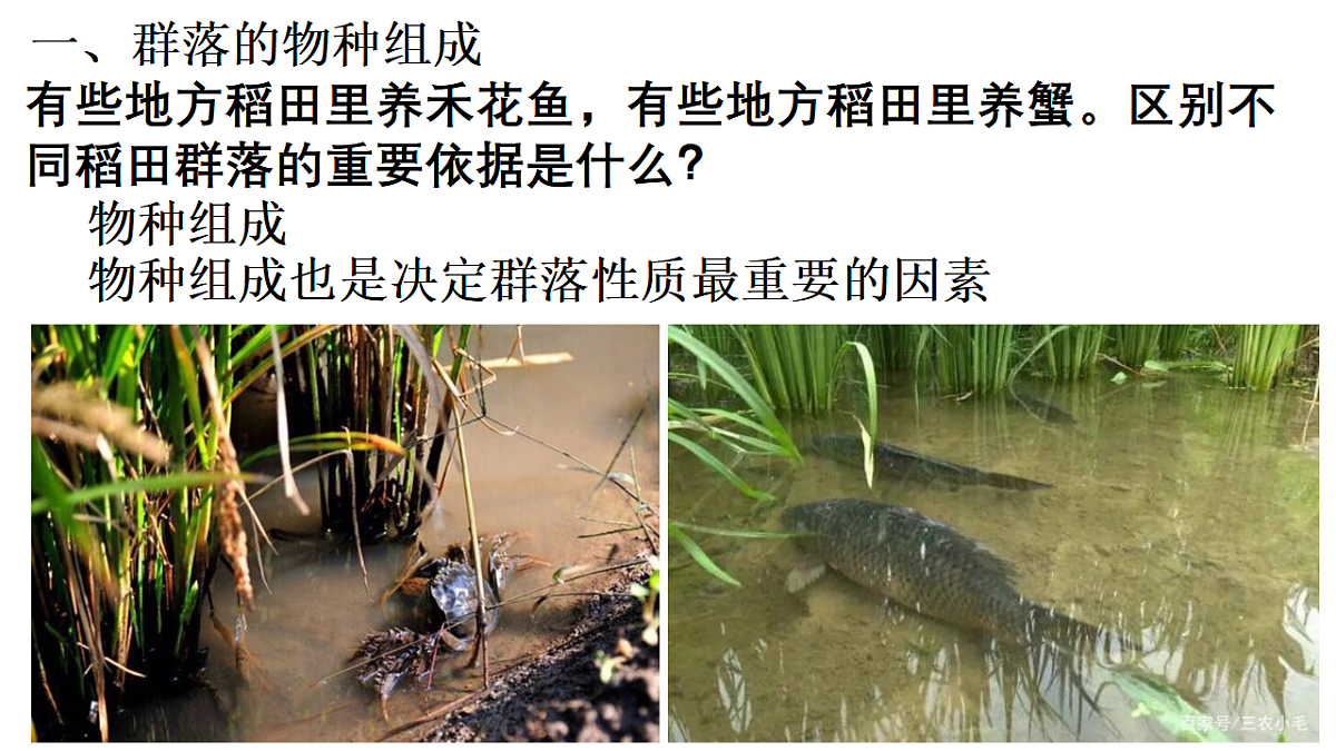 17554927第4页