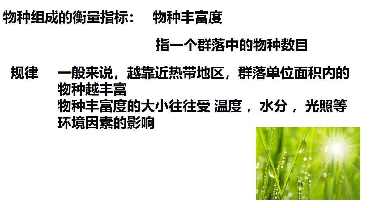 17554927第5页