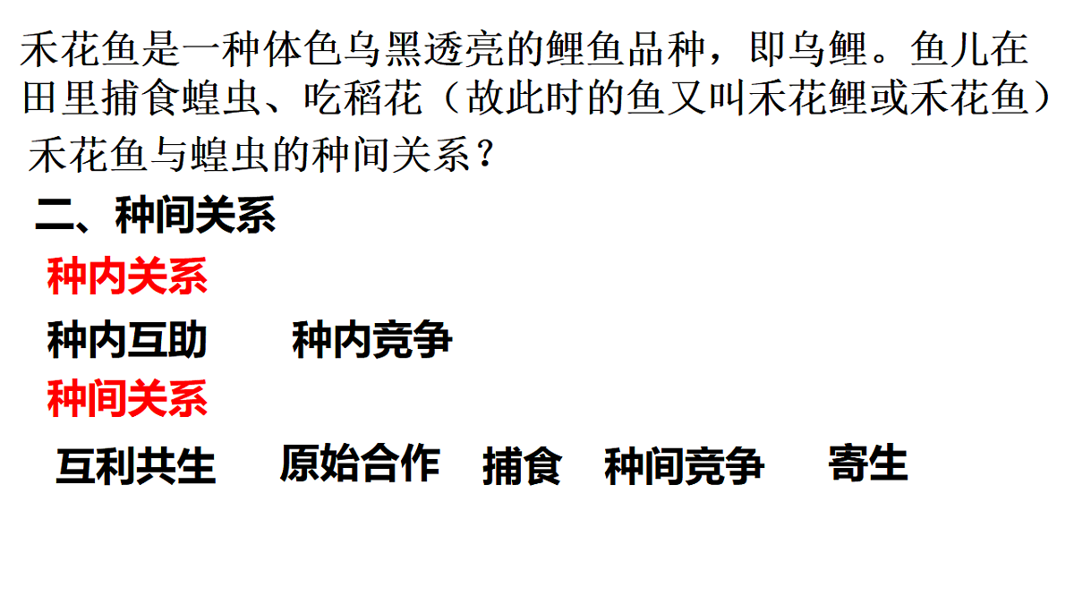 17554927第6页