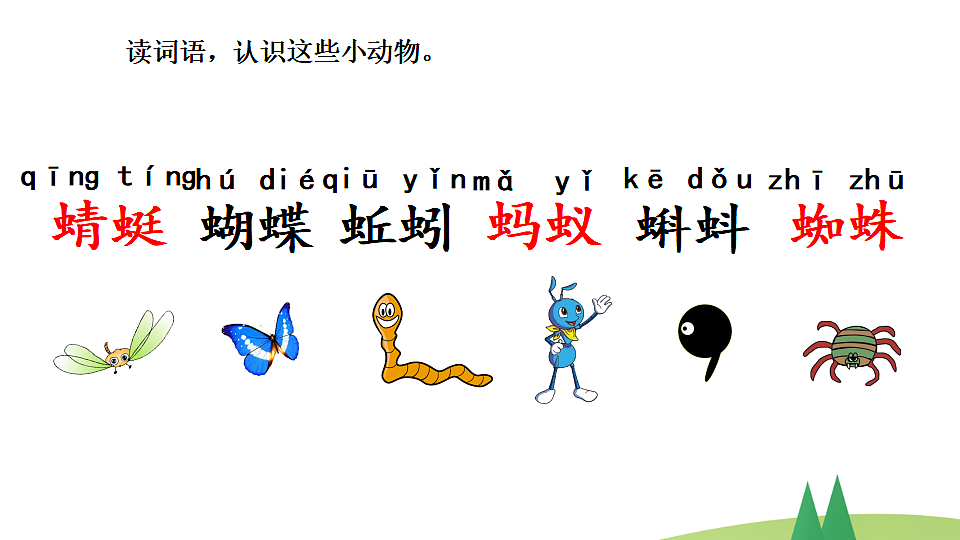 17555087第5页