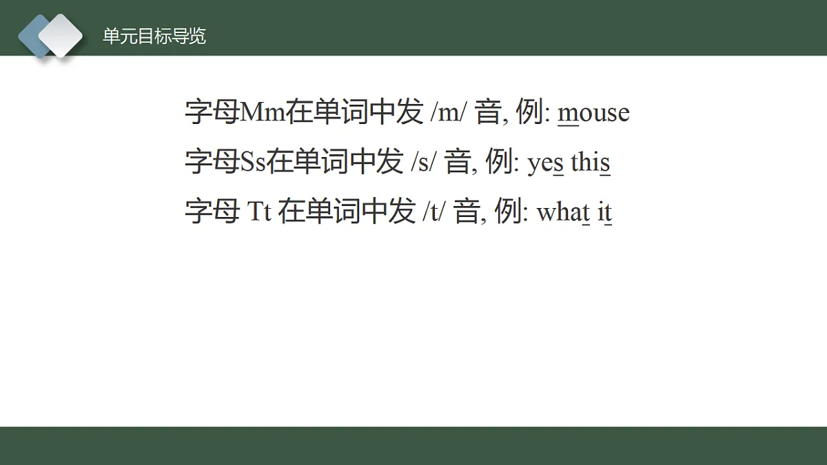 17555213第3页