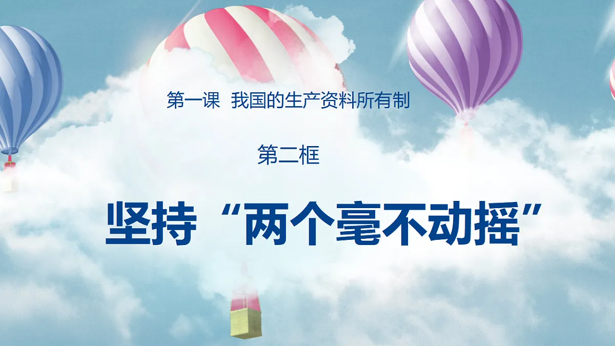 1.2坚持“两个毫不动摇”第3页