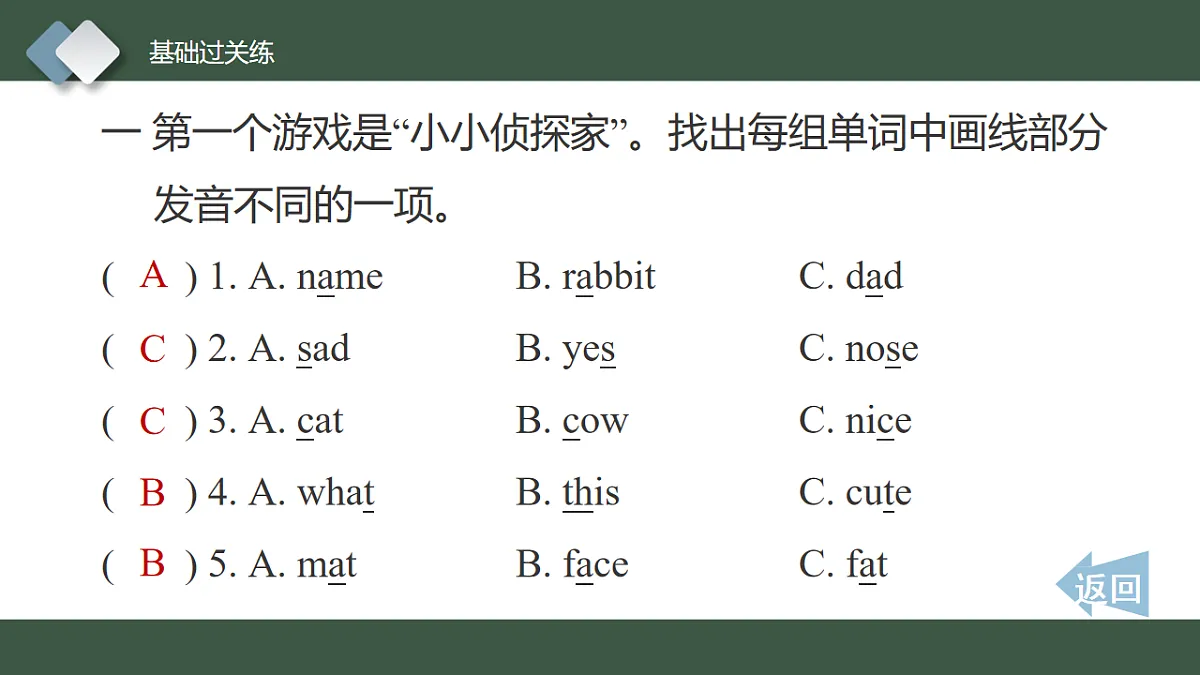 17555316第3页