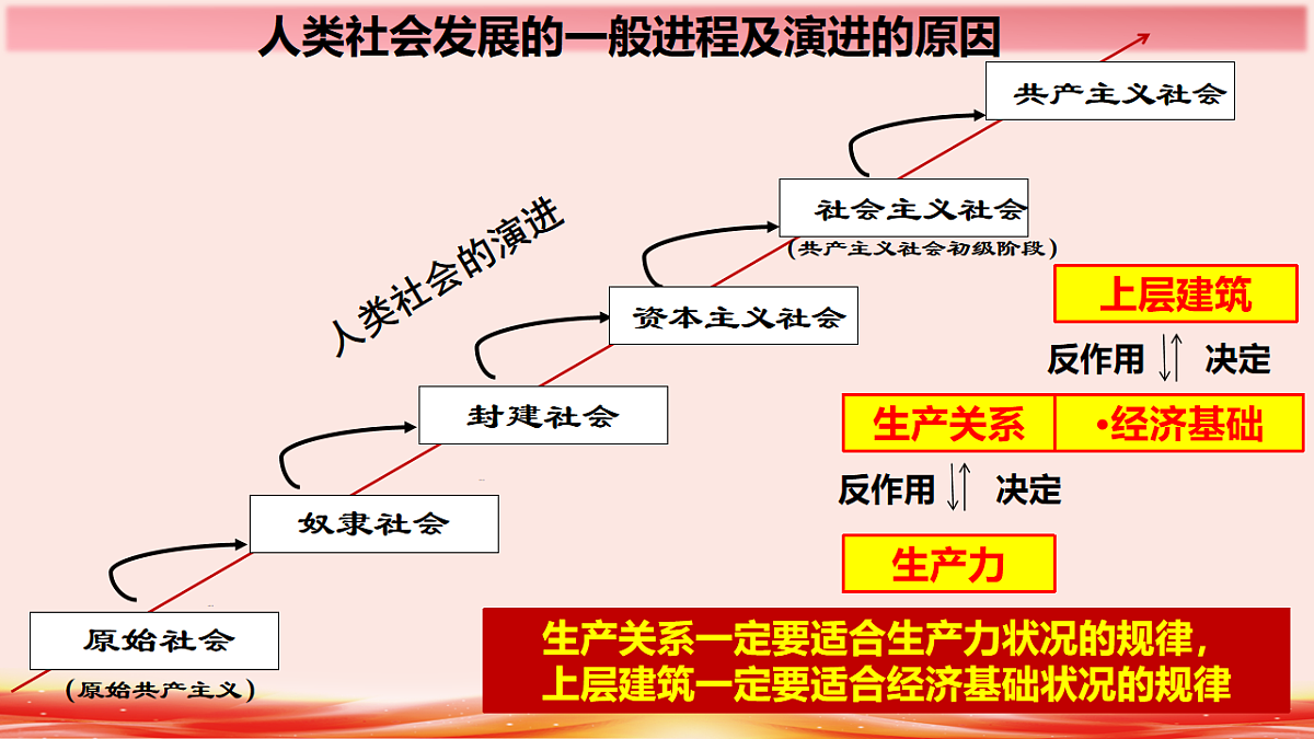 17555409第7页