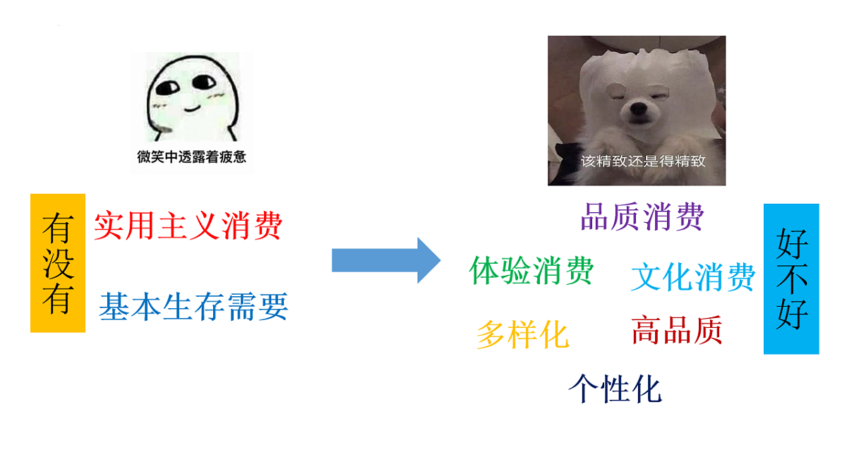 17555445第2页