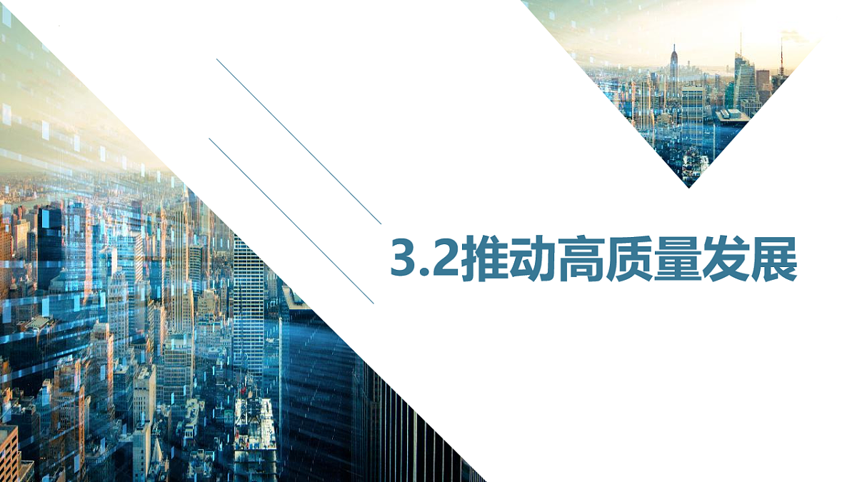 17555445第3页