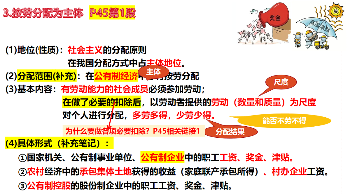 17555446第7页
