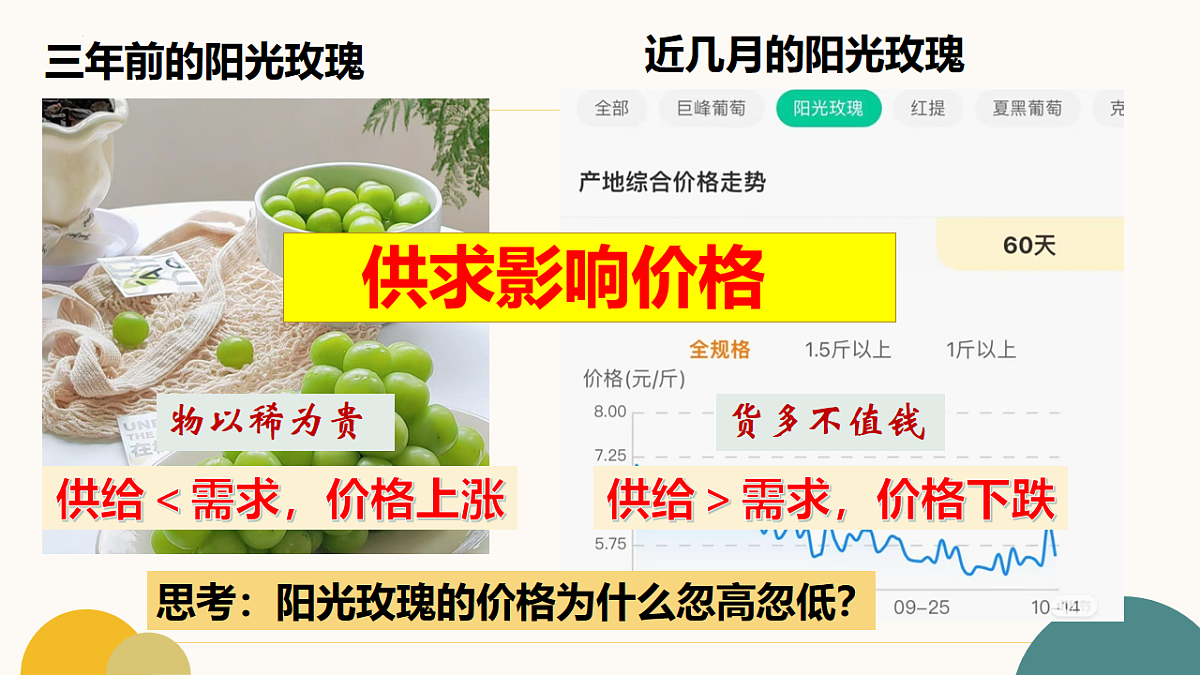 17555499第7页