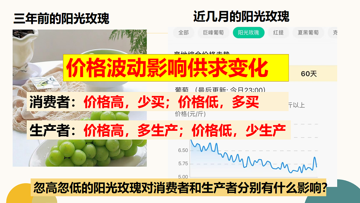 17555499第8页