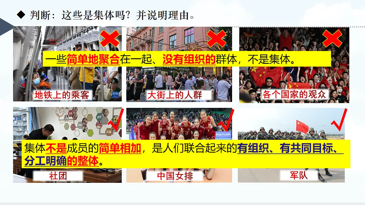 17555519第5页
