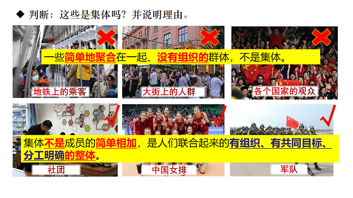 17555526第5页