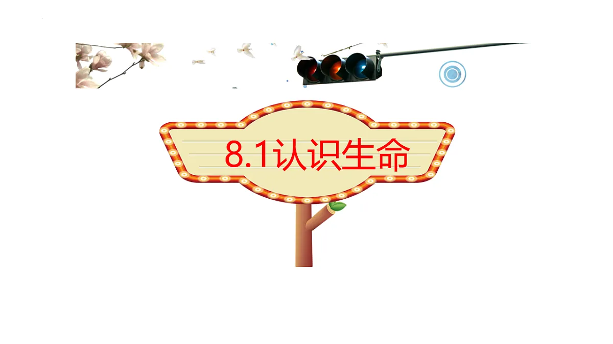 17555530第1页