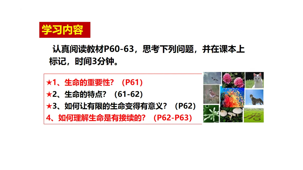 17555530第3页