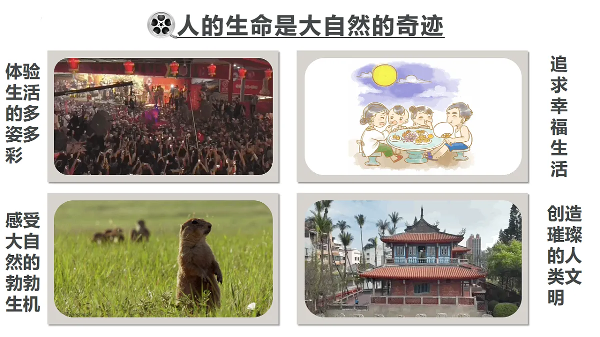 17555530第5页