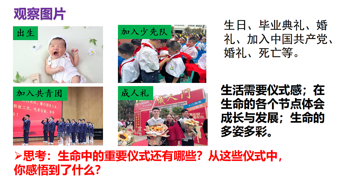 17555531第3页