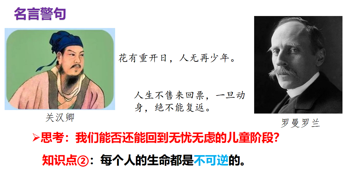 17555531第5页