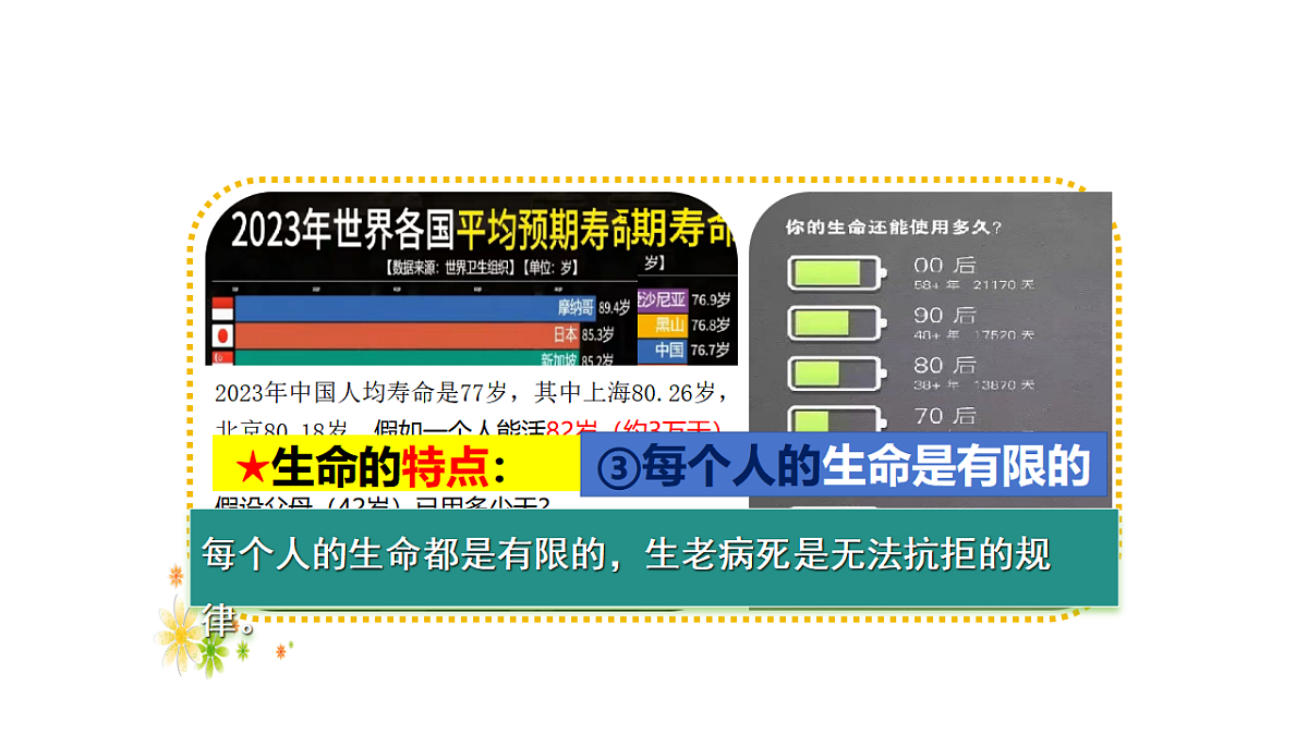 17555531第8页