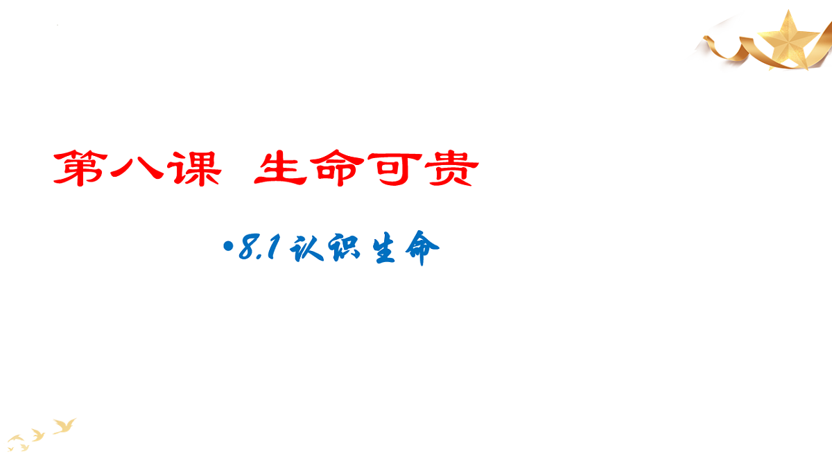 17555537第1页