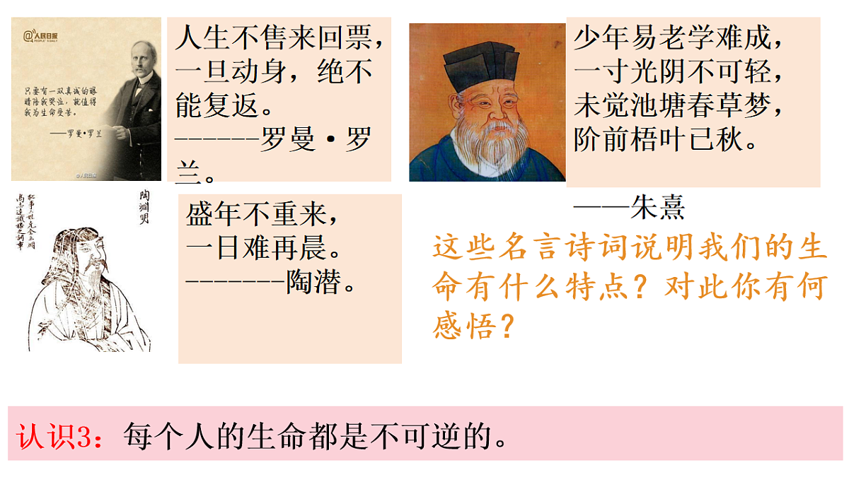 17555537第5页