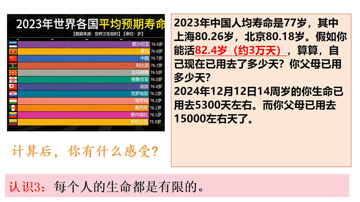 17555537第6页
