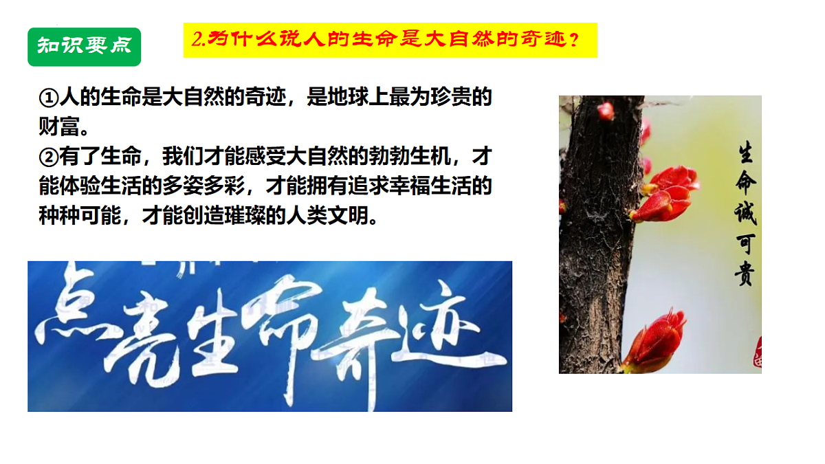 17555537第7页