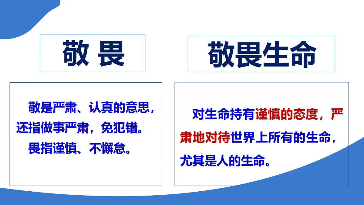 17555538第2页